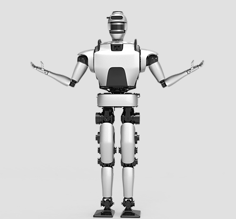 人形機(jī)器人-BHR系列